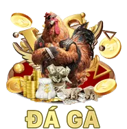 Lịch Sử Đá Gà